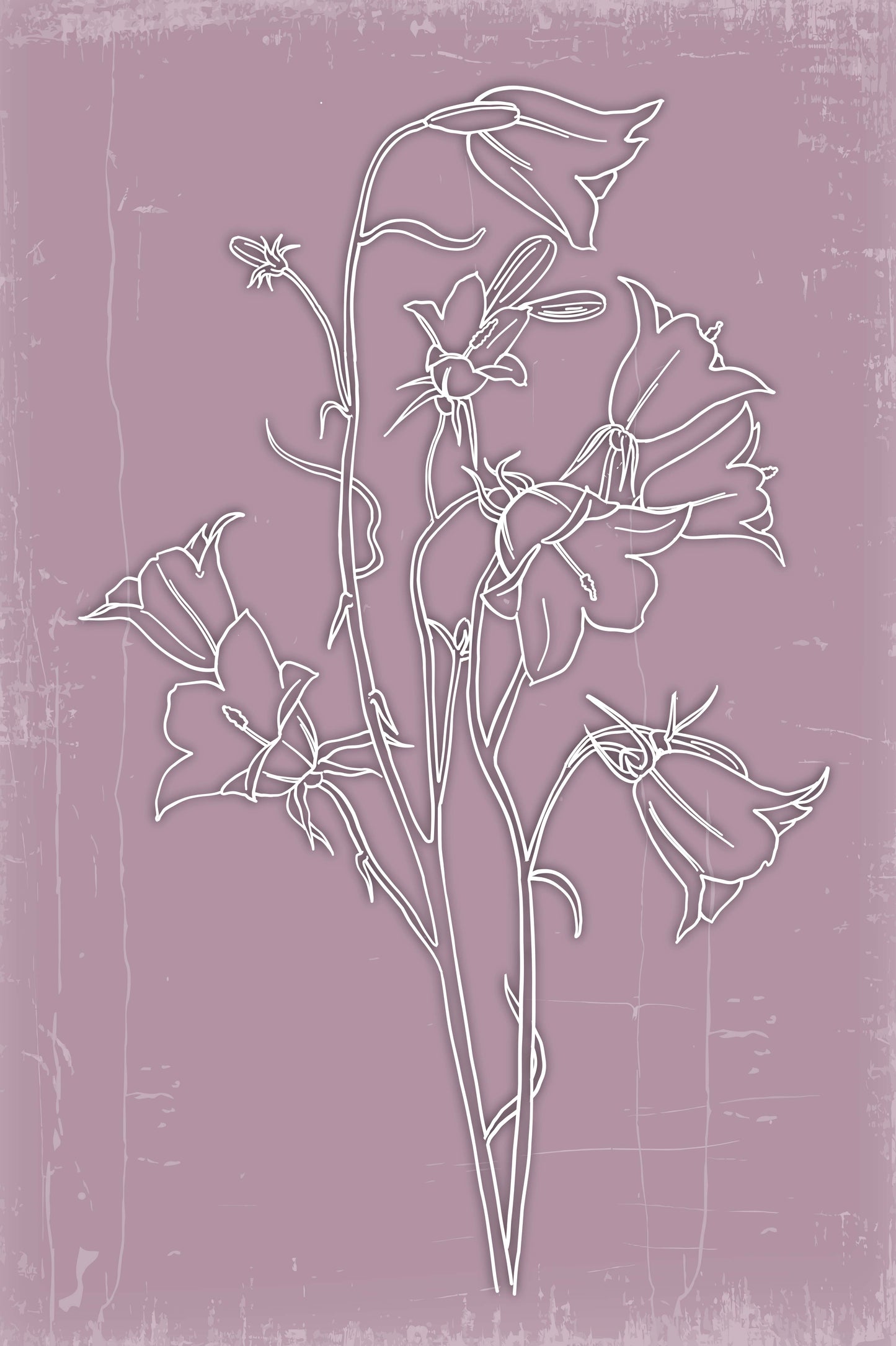 Botanical Serenity Trio