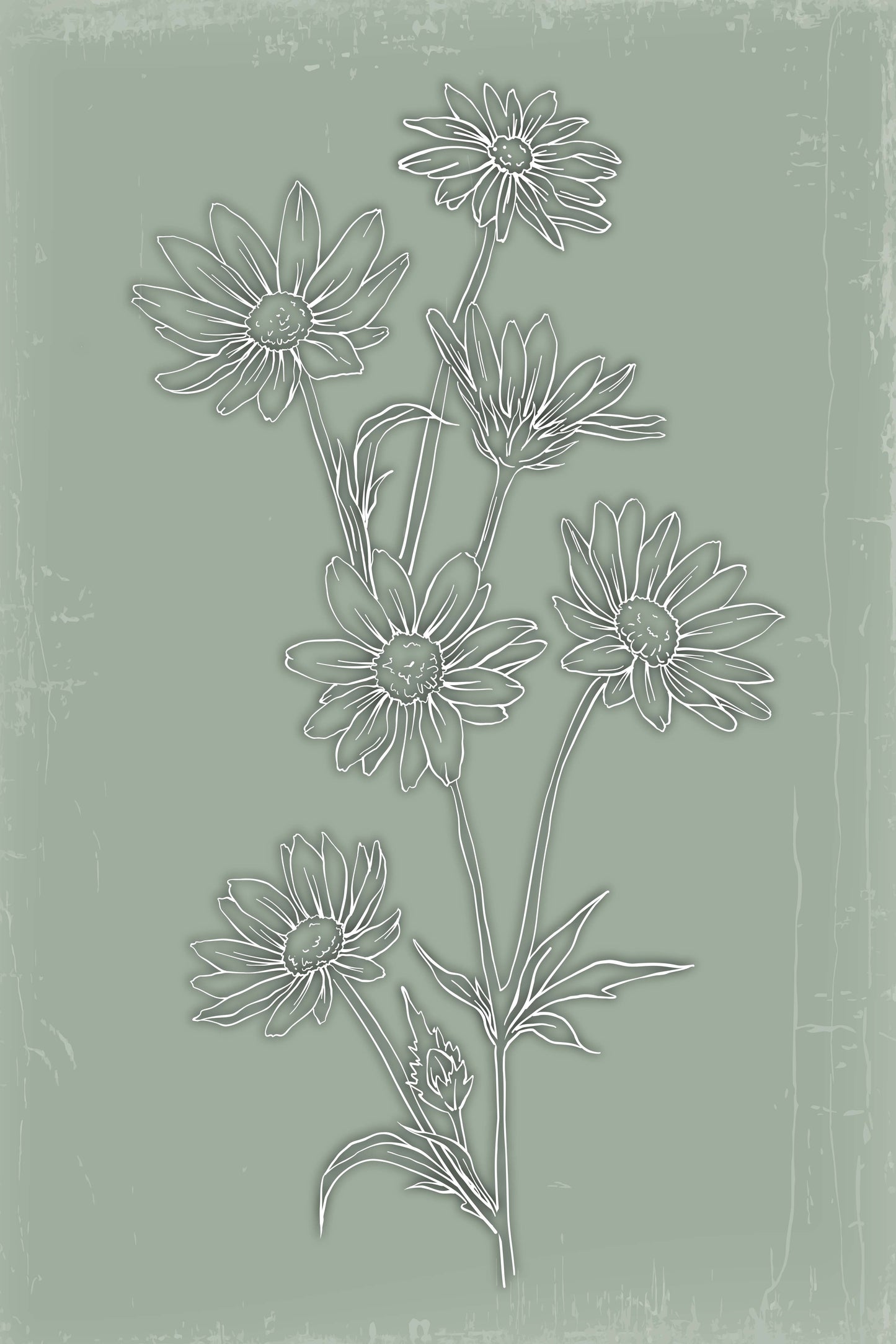 Botanical Serenity Trio