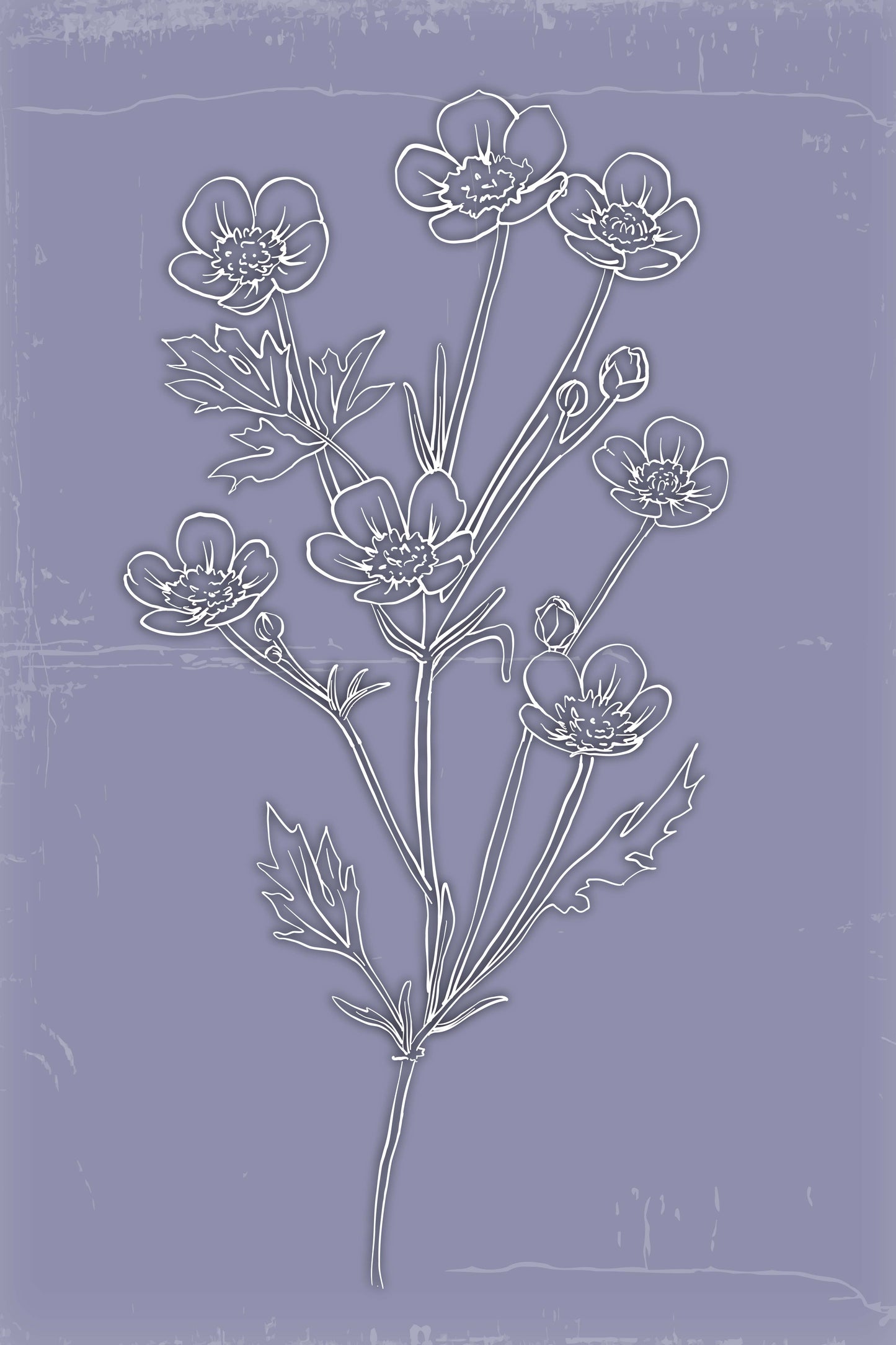 Botanical Serenity Trio